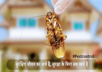 Ekveera-pest-control-Pest-control-services-Ambernath-Maharashtra-2