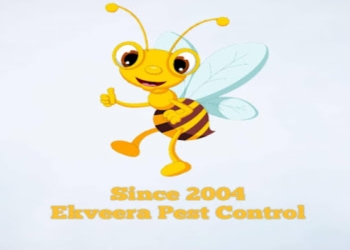 Ekveera-pest-control-Pest-control-services-Ulhasnagar-Maharashtra-1