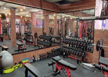 Empire-of-fitness-Gym-Sector-23-gurugram-Haryana-2