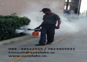 Entolabs-pest-control-services-Pest-control-services-Pallavaram-chennai-Tamil-nadu-2