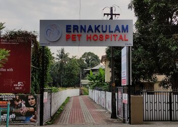 Ernakulam-pet-hospital-Veterinary-hospitals-Ernakulam-Kerala-1