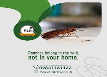 Eurow-care-cure-llp-Pest-control-services-Howrah-West-bengal-2