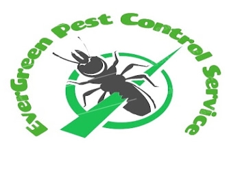 Evergreen-pest-control-services-Pest-control-services-Kk-nagar-tiruchirappalli-Tamil-nadu-1