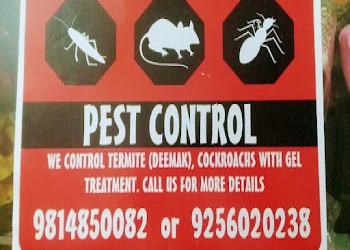 Example-pest-control-Pest-control-services-Panchkula-Haryana-1