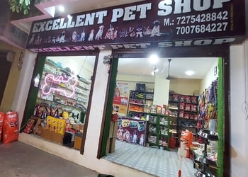 Excellent-pet-shop-Pet-stores-Kanpur-Uttar-pradesh-1