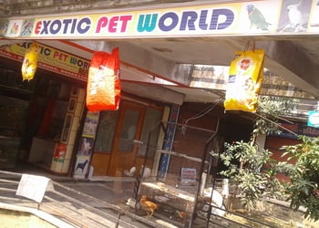 Exotic-pet-world-Pet-stores-Gorakhpur-Uttar-pradesh-1