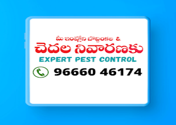 Expert-pest-control-kakinada-Pest-control-services-Gandhi-nagar-kakinada-Andhra-pradesh-2