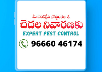 Expert-pest-control-kakinada-Pest-control-services-Pratap-nagar-kakinada-Andhra-pradesh-1