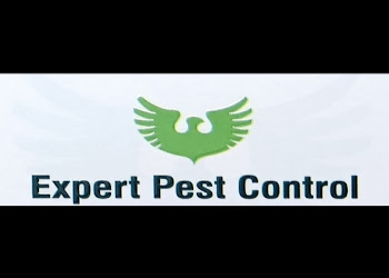 Expert-pest-control-Pest-control-services-Maninagar-ahmedabad-Gujarat-1