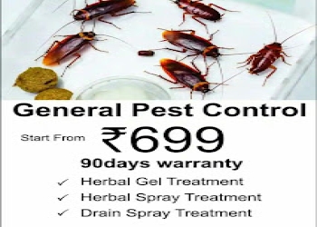 Falcon-pest-control-bangalore-Pest-control-services-Nagarbhavi-bangalore-Karnataka-1