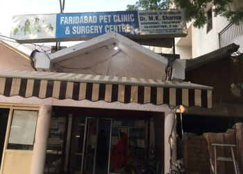 Faridabad-pet-clinic-surgery-center-Veterinary-hospitals-Faridabad-Haryana-1
