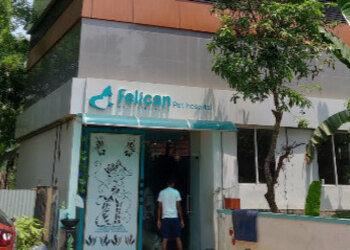 Felican-pet-hospital-Veterinary-hospitals-Kochi-Kerala-1