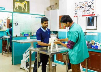 Felican-pet-hospital-Veterinary-hospitals-Kochi-Kerala-2