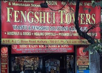 Fengshuie-towers-vaastu-fengshui-Feng-shui-consultant-Lake-town-kolkata-West-bengal-1