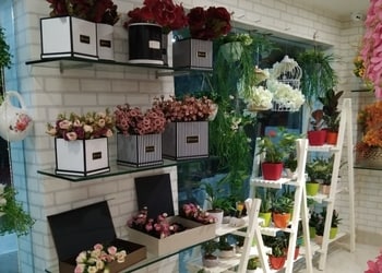 Ferns-n-petals-Flower-shops-Baguiati-kolkata-West-bengal-3