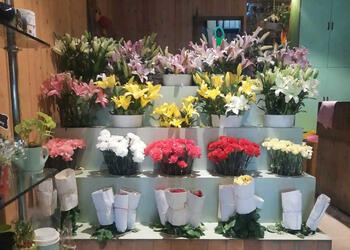 Ferns-n-petals-Flower-shops-Ludhiana-Punjab-3