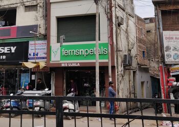 Ferns-n-petals-Flower-shops-Ranchi-Jharkhand-1