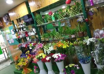 Ferns-n-petals-Flower-shops-Vadodara-Gujarat-2