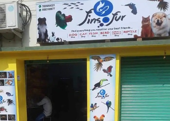 Fins-n-fur-Pet-stores-Baidyanathpur-brahmapur-Odisha-1