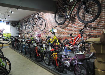 Firefox-cycle-shop-Bicycle-store-Ambawadi-ahmedabad-Gujarat-3