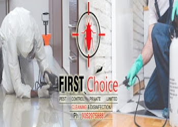 First-choice-pest-control-pvt-ltd-Pest-control-services-Charminar-hyderabad-Telangana-2