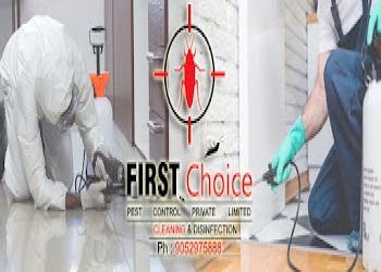 First-choice-pest-control-pvt-ltd-Pest-control-services-Dilsukhnagar-hyderabad-Telangana-2