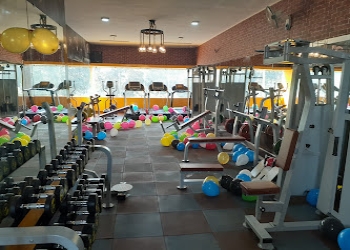 Fitlit-fitness-Gym-Sector-61-chandigarh-Chandigarh-2