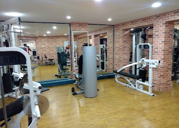 Fitness-plus-Gym-Mylapore-chennai-Tamil-nadu-2