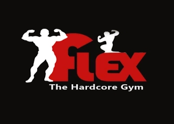 Flex-the-hardcore-gym-Gym-Vikhroli-mumbai-Maharashtra-1