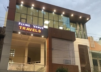 Flying-venus-travels-pvt-ltd-Travel-agents-Bhopal-junction-bhopal-Madhya-pradesh-1