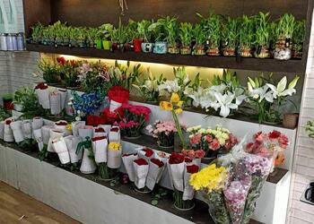 Fnp-Flower-shops-Andheri-mumbai-Maharashtra-3