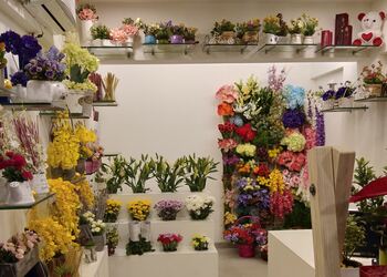 Fnp-Flower-shops-Aurangabad-Maharashtra-3