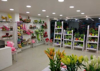 Fnp-Flower-shops-Bhopal-Madhya-pradesh-2