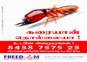 Freedom-pest-control-service-Pest-control-services-Alagapuram-salem-Tamil-nadu-2