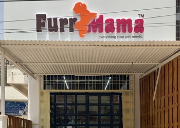 Furr-mama-Pet-stores-Jaipur-Rajasthan-1