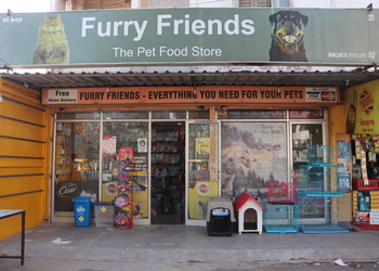 Furry-friends-Pet-stores-Jamnagar-Gujarat-1