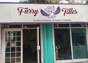 Furry-tales-veterinary-pet-clinic-Veterinary-hospitals-New-delhi-Delhi-1