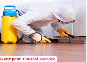 Gaur-pest-control-services-Pest-control-services-Dasna-ghaziabad-Uttar-pradesh-2