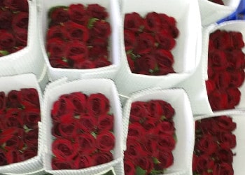 Gauri-flowers-Flower-shops-Bikaner-Rajasthan-2