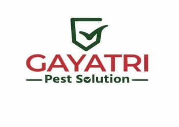 Gayatri-pest-solution-Pest-control-services-Ghatlodia-ahmedabad-Gujarat-1