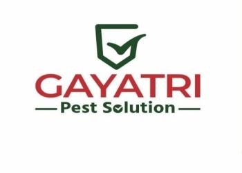 Gayatri-pest-solution-Pest-control-services-Paldi-ahmedabad-Gujarat-1