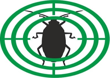 Get-pest-control-Pest-control-services-Mayur-vihar-delhi-Delhi-1