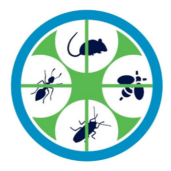 Gingerbay-pest-control-services-Pest-control-services-Indiranagar-bangalore-Karnataka-1