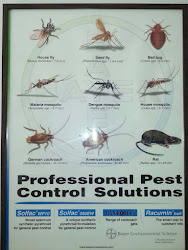 Gingerbay-pest-control-services-Pest-control-services-Indiranagar-bangalore-Karnataka-2