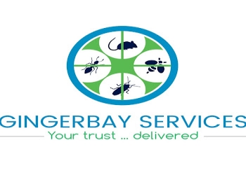 Gingerbay-services-Pest-control-services-Choolaimedu-chennai-Tamil-nadu-1