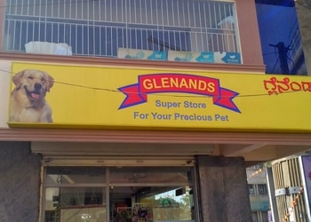Glenands-pet-store-Pet-stores-Majestic-bangalore-Karnataka-1