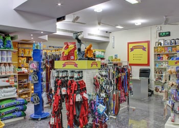 Glenands-pet-store-Pet-stores-Majestic-bangalore-Karnataka-3