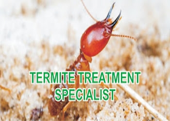 Global-india-pest-control-services-Pest-control-services-Rohtak-Haryana-2