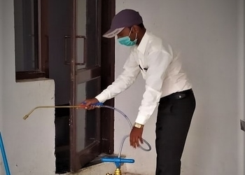 Global-pest-and-facility-management-Pest-control-services-Kamla-nagar-agra-Uttar-pradesh-2