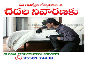 Global-pest-control-guntur-Pest-control-services-Pattabhipuram-guntur-Andhra-pradesh-2
